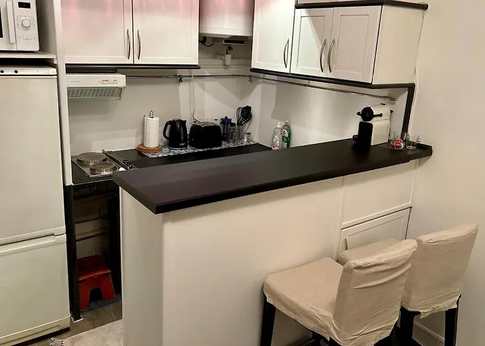 公寓 Charming Parisian Pied-a-terre! 巴黎